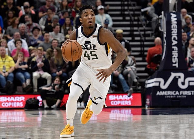 仅展示了该 仅展示了该